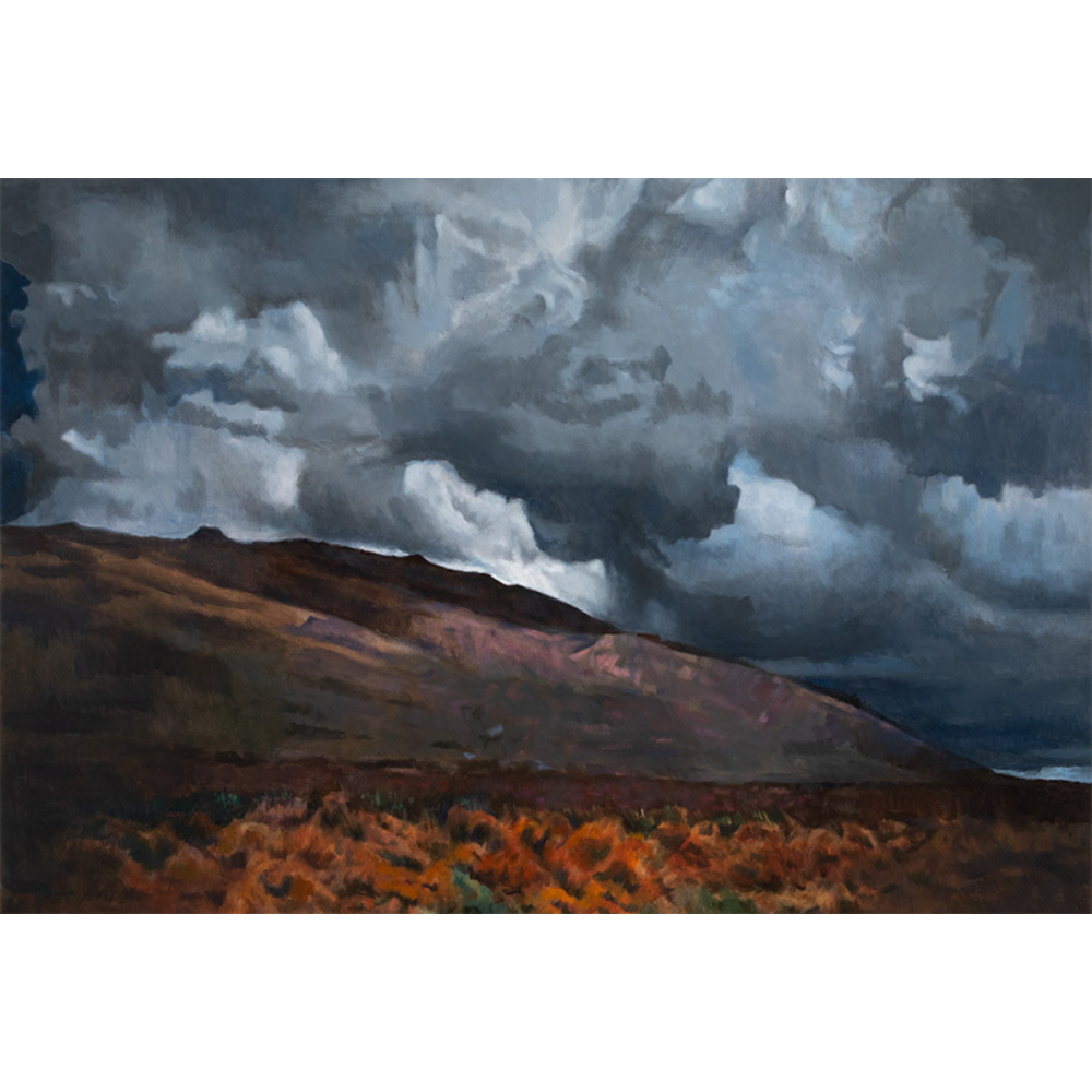 Pat Berger, Approaching Storm, 1993
Acrylic on canvas
Gift of the artist 2011.8
