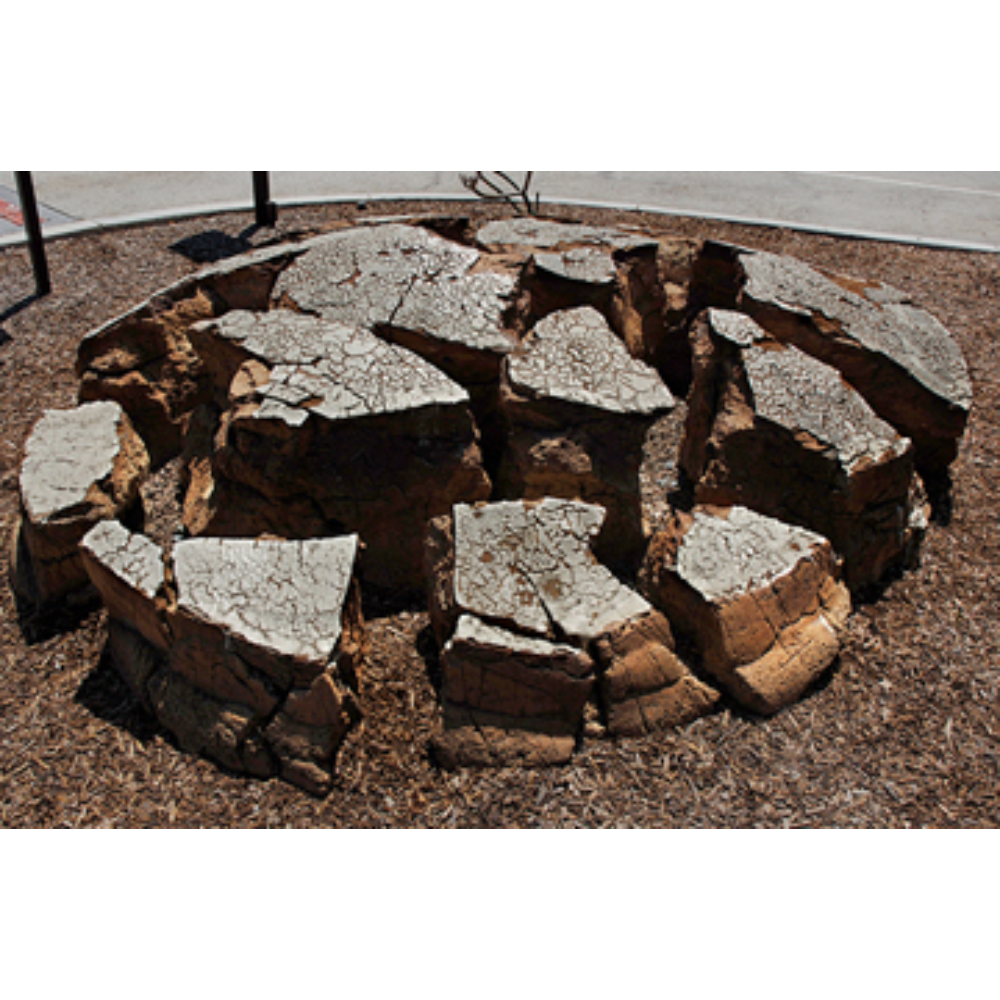 Larry Shep 
A Ceramic Reality, 1971 
Fired clay  
Donated in loving memory of Larry Shep  2004.72