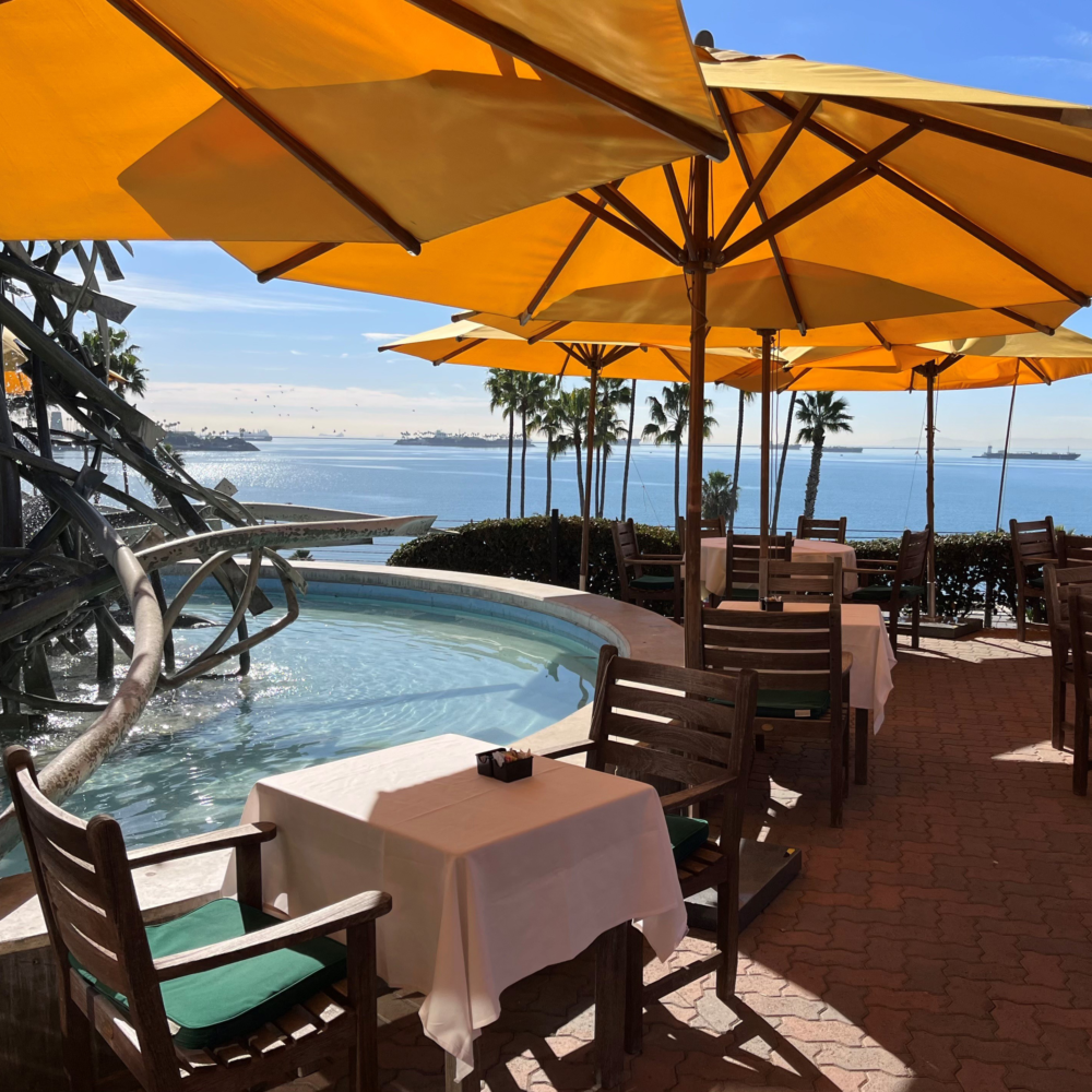 Claire's at the Museum's outdoor dining at the patio showcasing the beautiful oceanview with Claire's signature yellow umbrellas