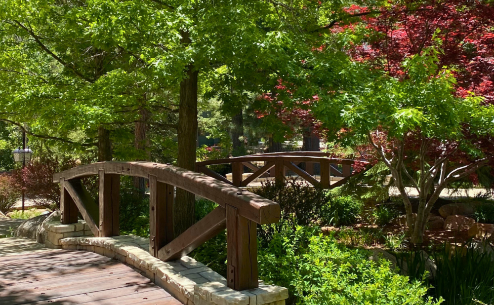 Wooden pedestrian bridge crossing a landscaped garden with trees, shrubs, and dappled sunlight filtering through the leaves.