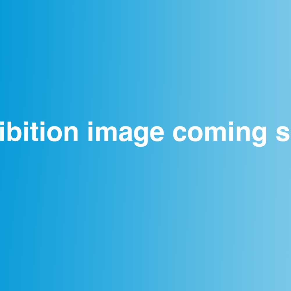 exhibition image coming soon.