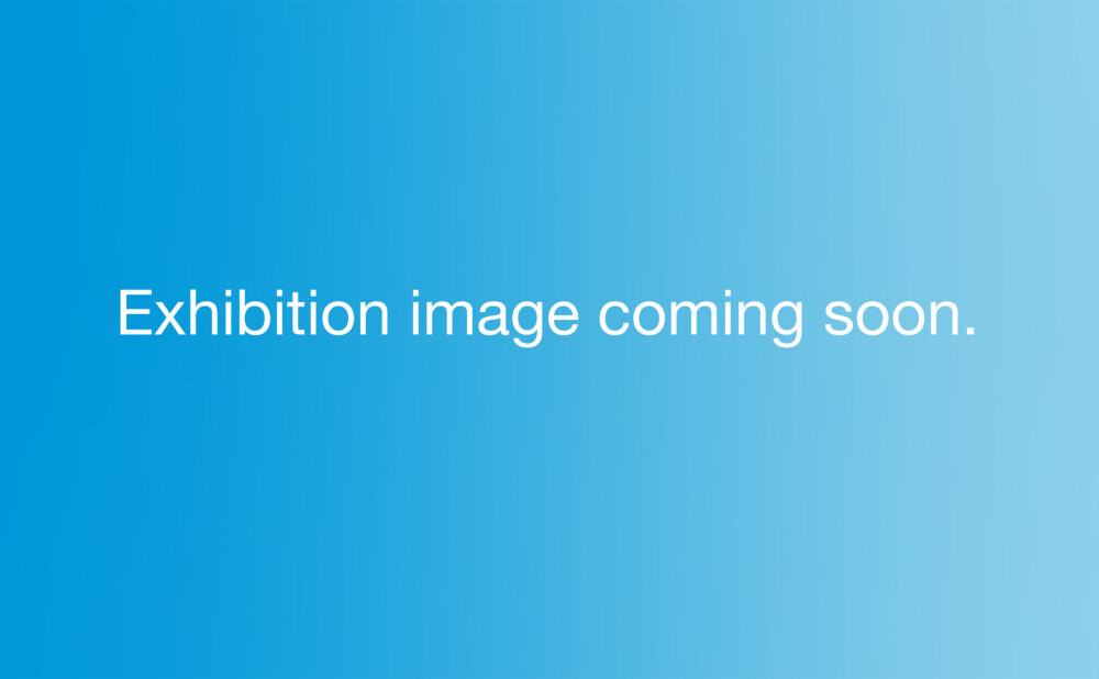 exhibition image coming soon.