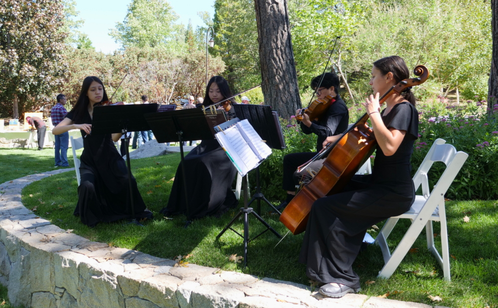 String quartet of four musicians dressed in black performing on a lawn, seated with music stands under trees during an outdoor event.
