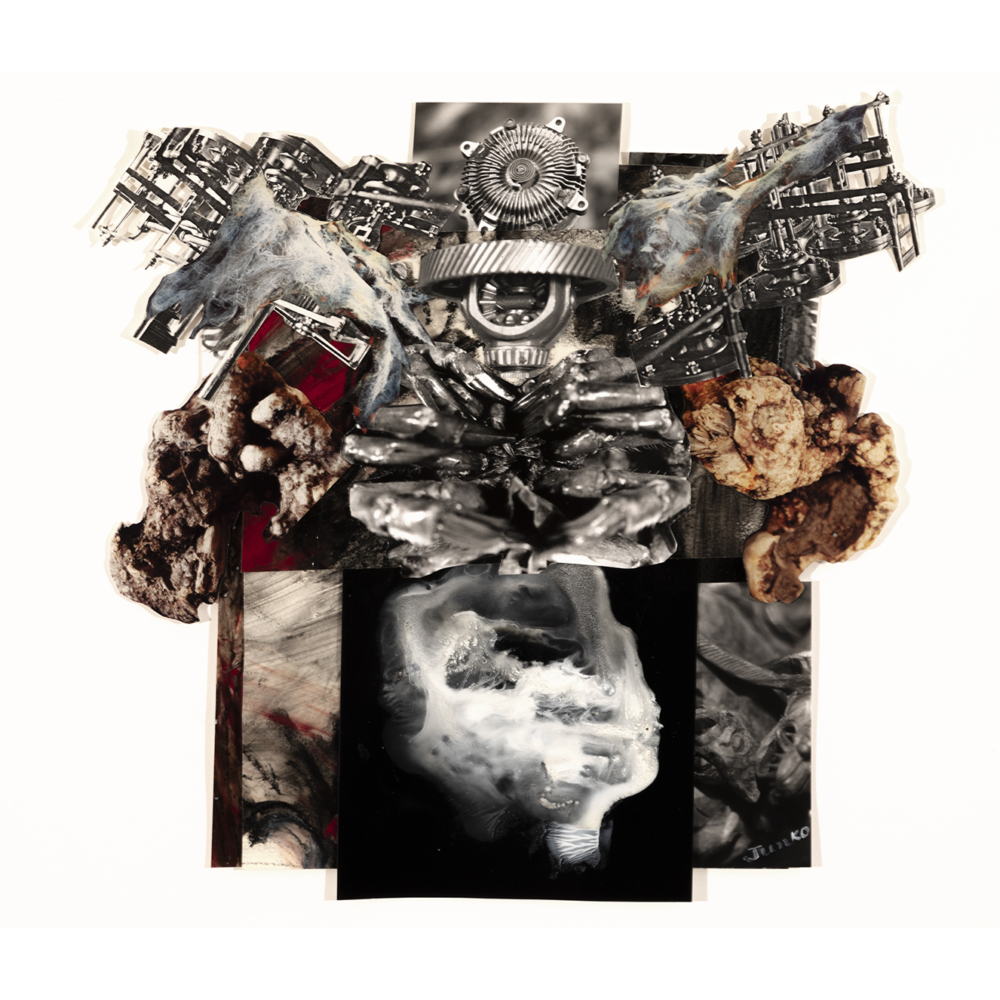 A mixed-media collage combining mechanical parts, abstract textures, organic forms, and monochrome imagery into a layered, symmetrical composition with a central eye-like motif.