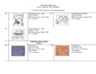 Keith Haring QR Checklist, 5-15-24_Page_18